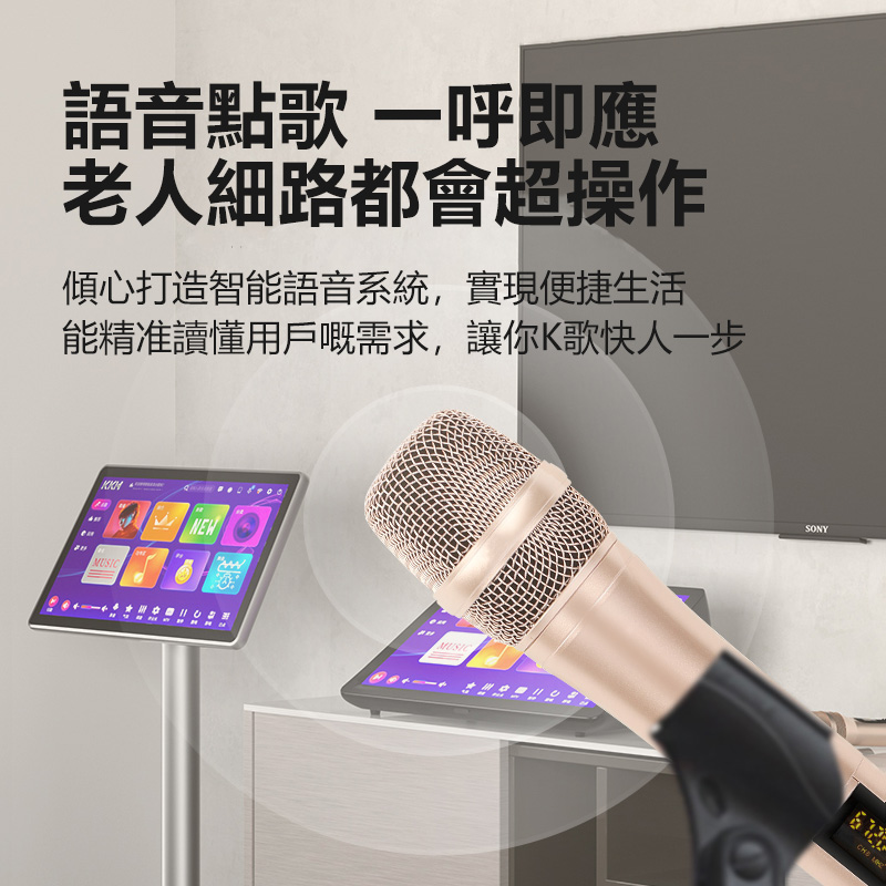 KKH R9家庭ktv点歌机内置DSP混响音响套装全套触摸屏一体机卡拉ok家用点唱机家庭k歌主机设备唱歌家用点歌台