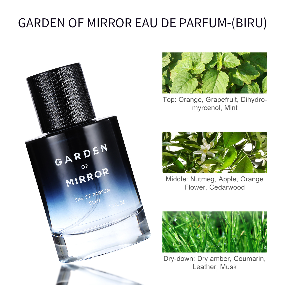 miniso garden of mirror bleu