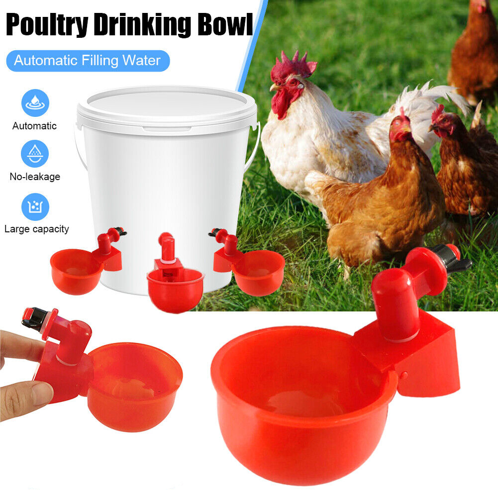 Automatic Poultry Water Bowls