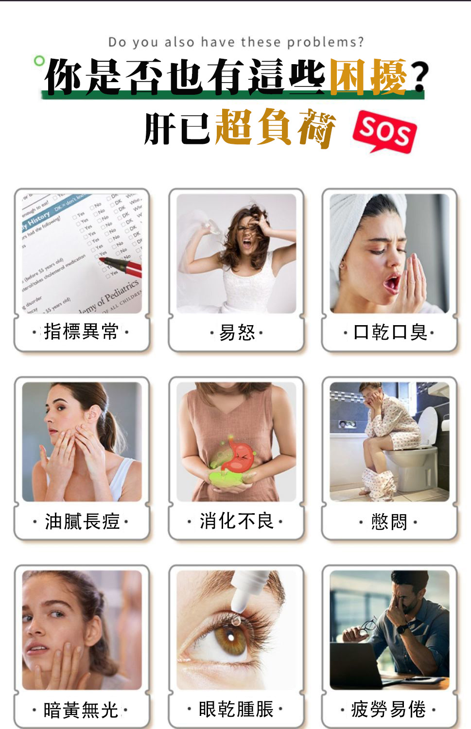 奶薊草護肝膠囊
