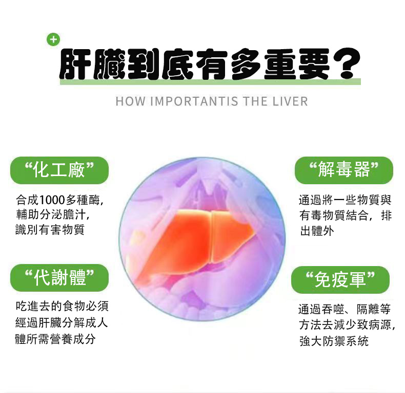 奶薊草護肝膠囊