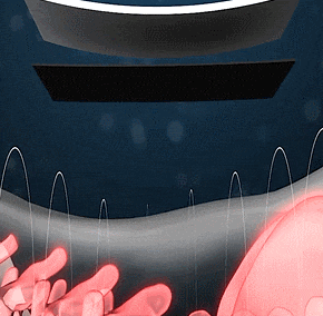 滑膜半月板貼,靶向治療,高效滲透,溶解積液,持續改善膝關節微生態,告別滑膜炎,告別雙腿疼痛,還你一身輕鬆。 滑膜半月板貼