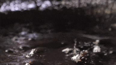 滑膜半月板貼,靶向治療,高效滲透,溶解積液,持續改善膝關節微生態,告別滑膜炎,告別雙腿疼痛,還你一身輕鬆。 滑膜半月板貼