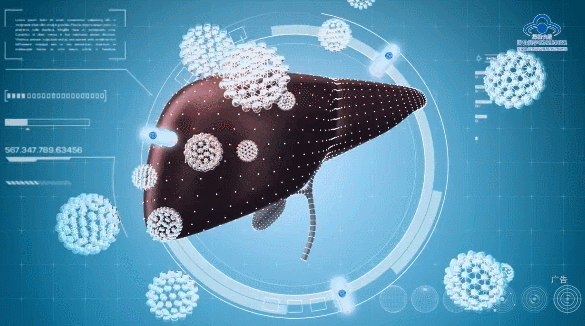 金奧力牌葛根枳椇軟膠囊