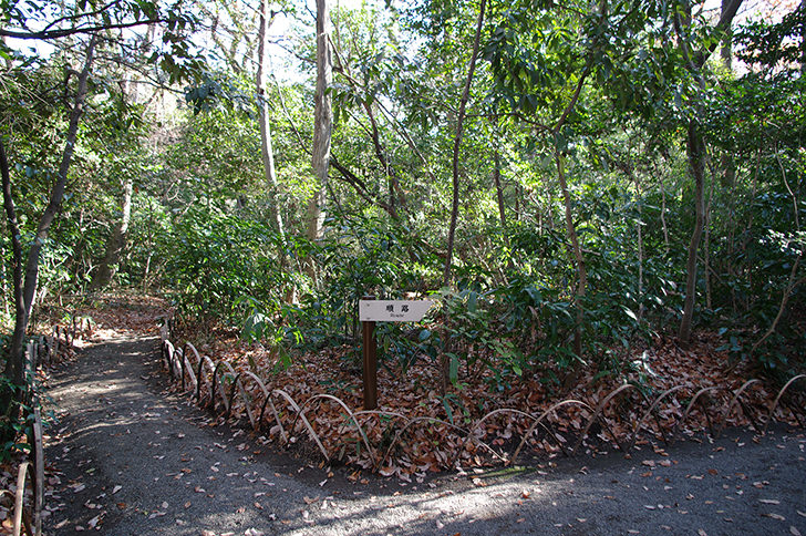 100000000