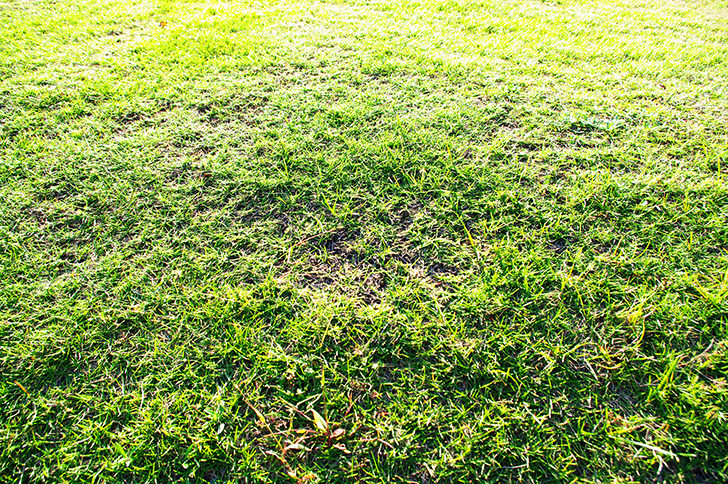100000000