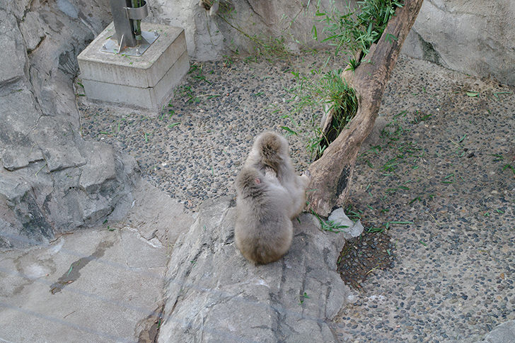 100000000