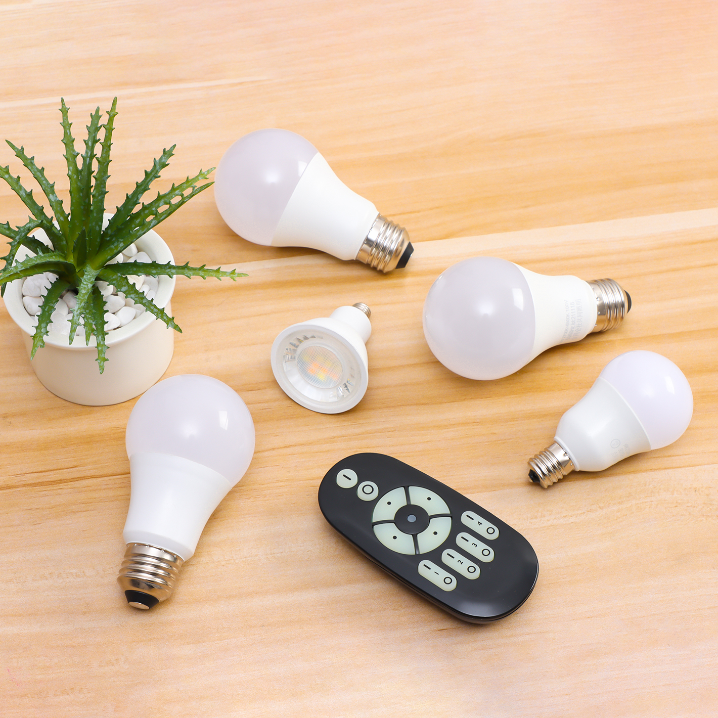 共同照明LED専門店-LED電球
