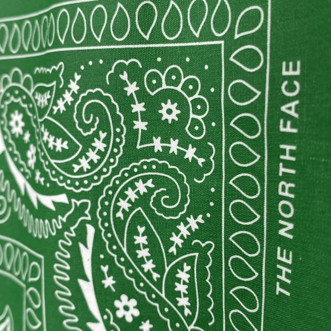 Supreme SS22 Week 16 The North Face 联名款 Bandana Tee 腰果花印花 Logo 白色 T 恤 圆领 夏季 男女同款 SUP-SS22-754