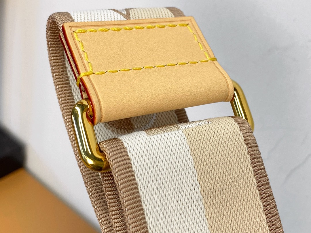 LOUIS VUITTON 路易威登 SpeedyBandoulière 20 经典老花满印刺绣Logo肩带帆布拼皮 斜挎包 单肩包 手提包 棕色 M46222