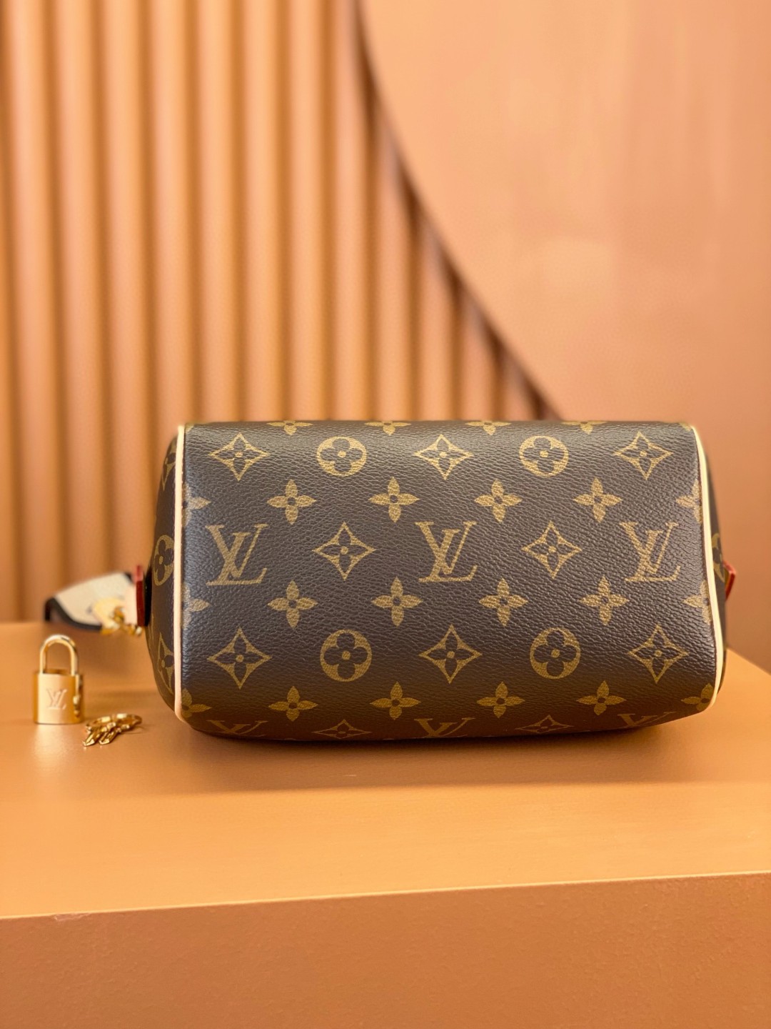 LOUIS VUITTON 路易威登 Speedy 20 经典老花满印刺绣Logo肩带帆布拼皮 斜挎包 单肩包 手提包 黑棕色 M46234