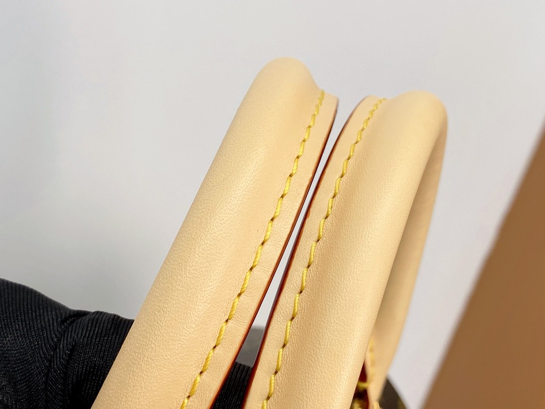 LOUIS VUITTON 路易威登 Speedy 20 经典老花满印刺绣Logo肩带帆布拼皮 斜挎包 单肩包 手提包 棕色 M45957