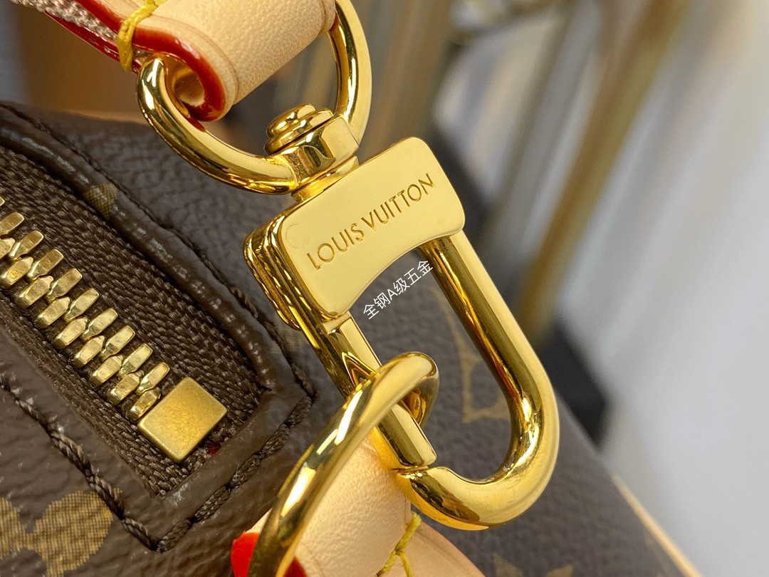 LOUIS VUITTON 路易威登 SpeedyBandoulière 20 经典老花满印刺绣Logo肩带帆布拼皮 斜挎包 单肩包 手提包 棕色 M46222