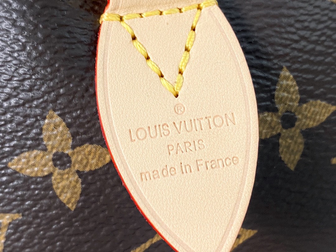 LOUIS VUITTON 路易威登 Speedy 20 经典老花满印刺绣Logo肩带帆布拼皮 斜挎包 单肩包 手提包 棕色 M45957