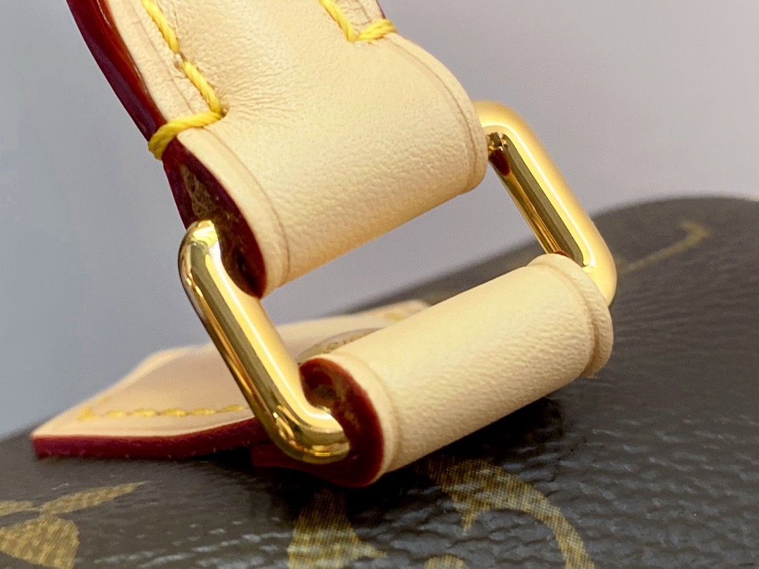 LOUIS VUITTON 路易威登 Speedy 20 经典老花满印刺绣Logo肩带帆布拼皮 斜挎包 单肩包 手提包 黑棕色 M46234