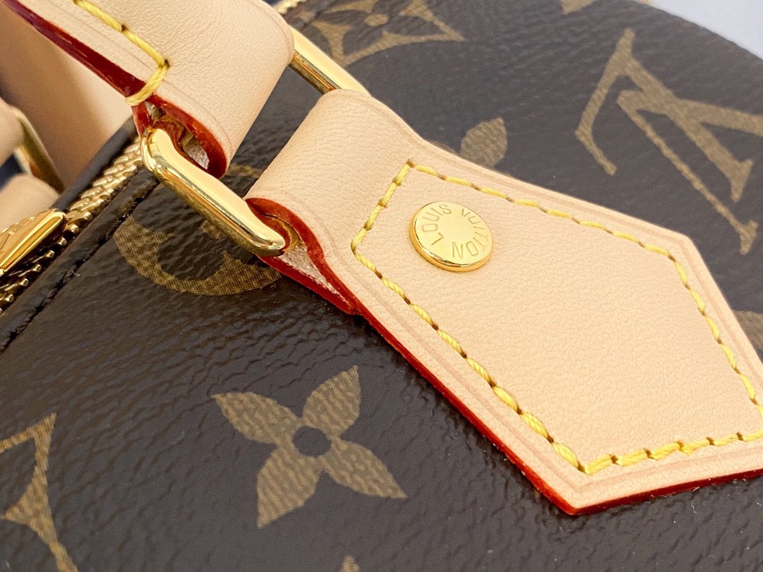 LOUIS VUITTON 路易威登 Speedy 20 经典老花满印刺绣Logo肩带帆布拼皮 斜挎包 单肩包 手提包 棕色 M45957