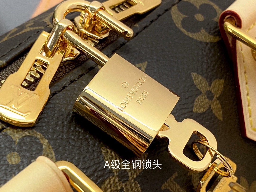 LOUIS VUITTON 路易威登 Speedy 20 经典老花满印刺绣Logo肩带帆布拼皮 斜挎包 单肩包 手提包 黑棕色 M46234