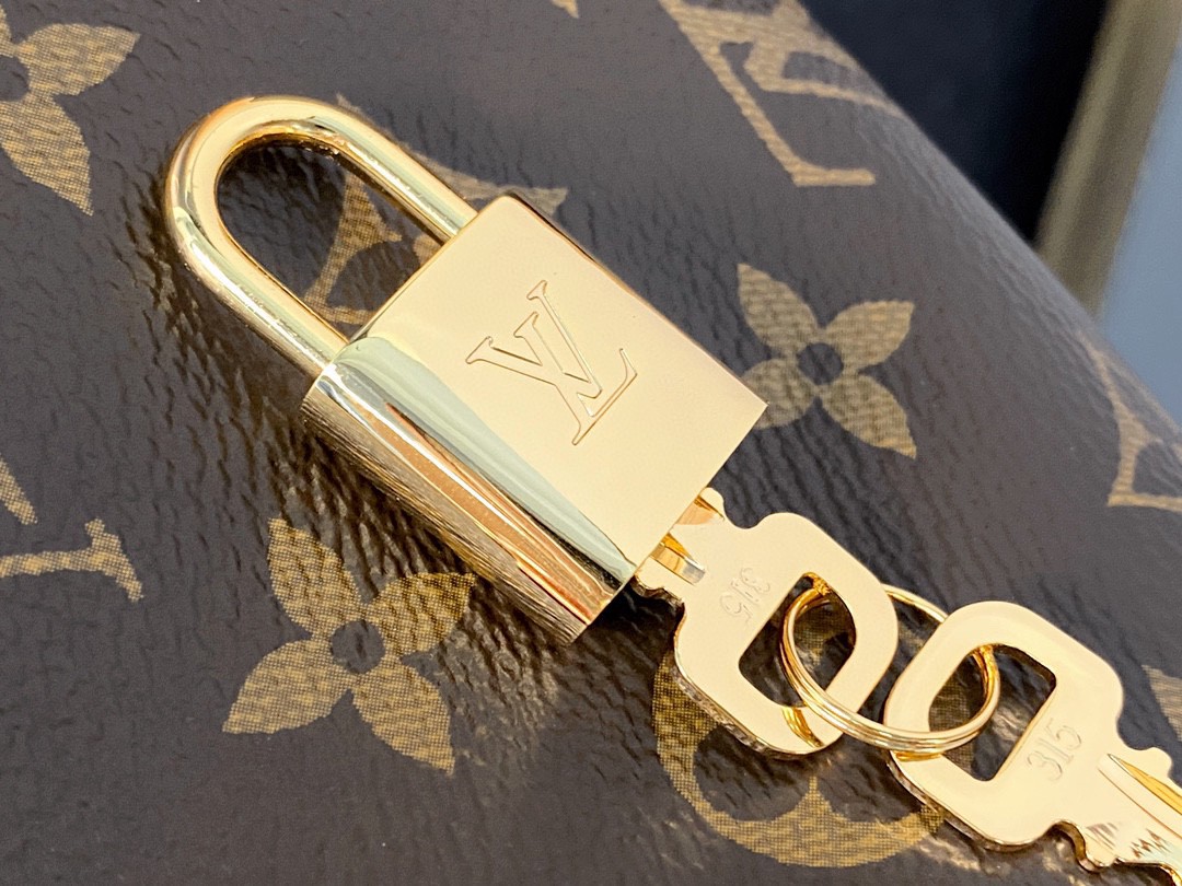 LOUIS VUITTON 路易威登 Speedy 20 经典老花满印刺绣Logo肩带帆布拼皮 斜挎包 单肩包 手提包 棕色 M45957