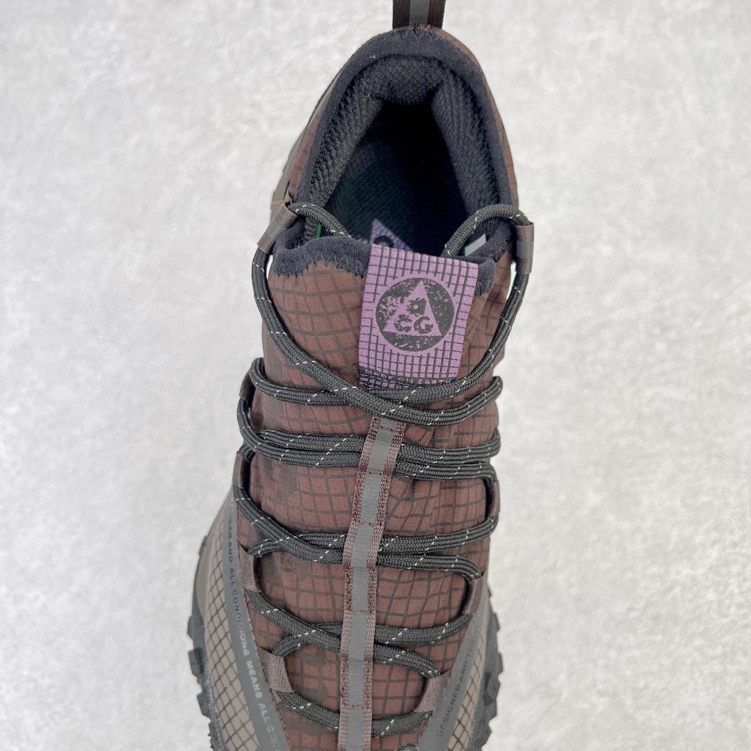 Nike ACG Mountain Fly Low GORE-TEX Brown Basalt 玄武岩棕 低筒 户外 登山鞋 跑步鞋 休闲鞋 徒步鞋 男鞋 女鞋 DC9045-200