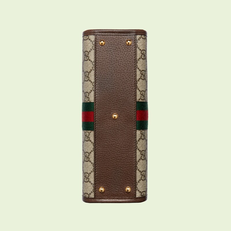 Ophidia系列织带小号托特包