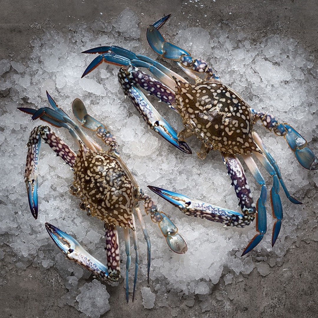 Flower Crabs