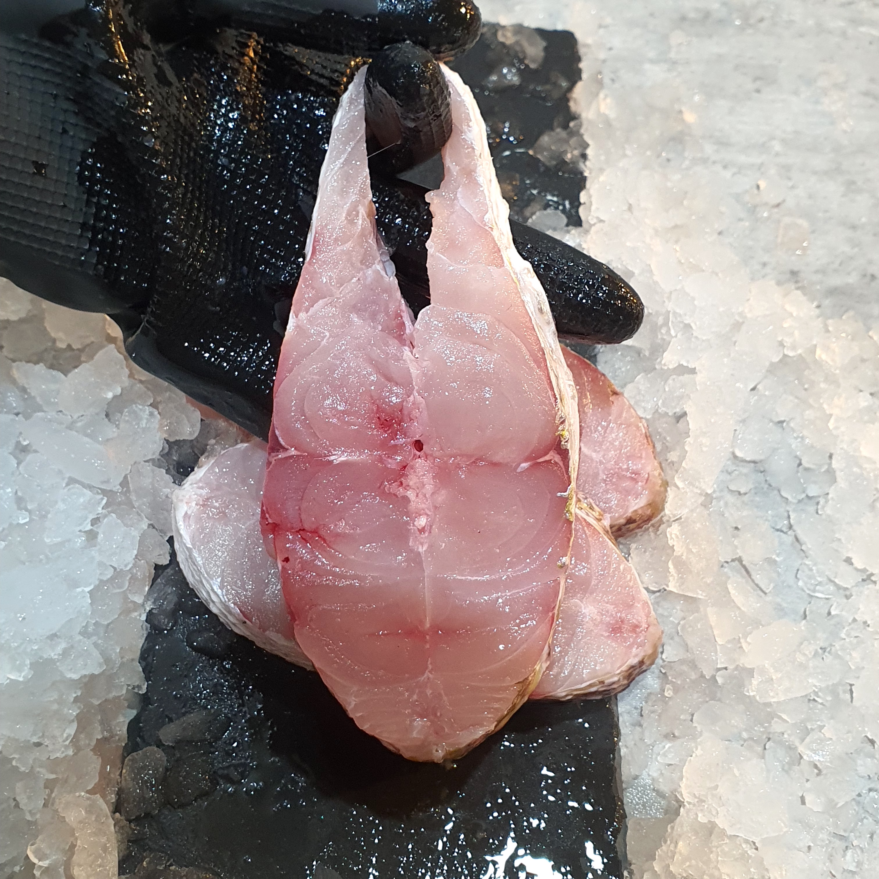 Wild Goldband Snapper Meat
