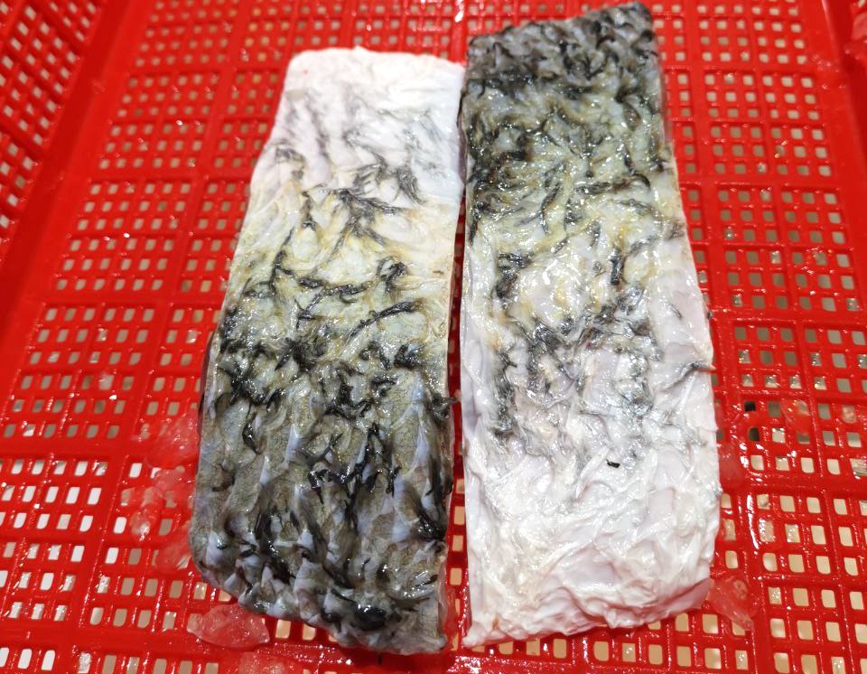 Barramundi Fish Fillets with skin on