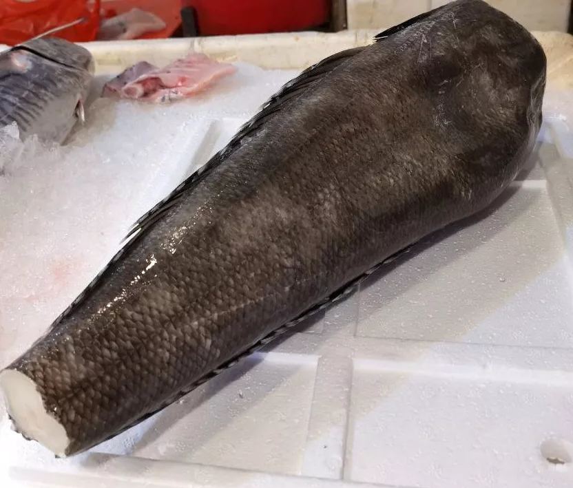 Wild Cod Fish Meat (Steak/Fillet) [Premium Grade]