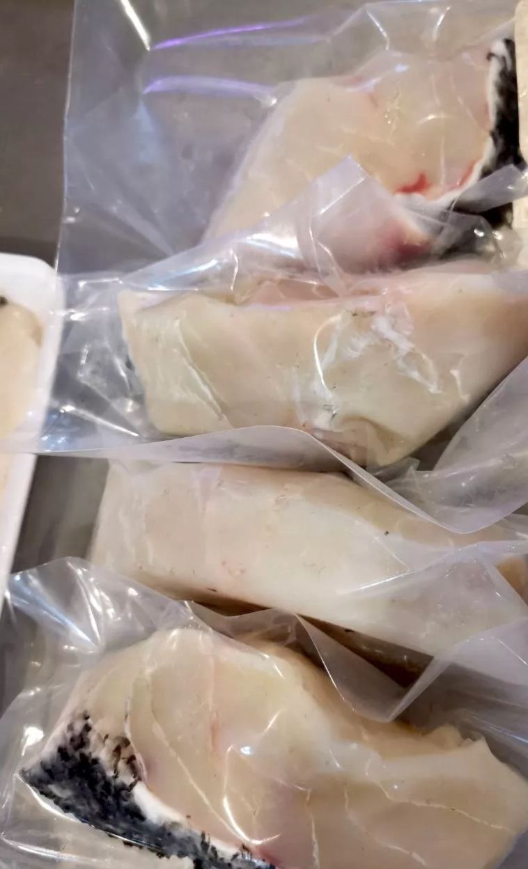 Giant Grouper 龙旦