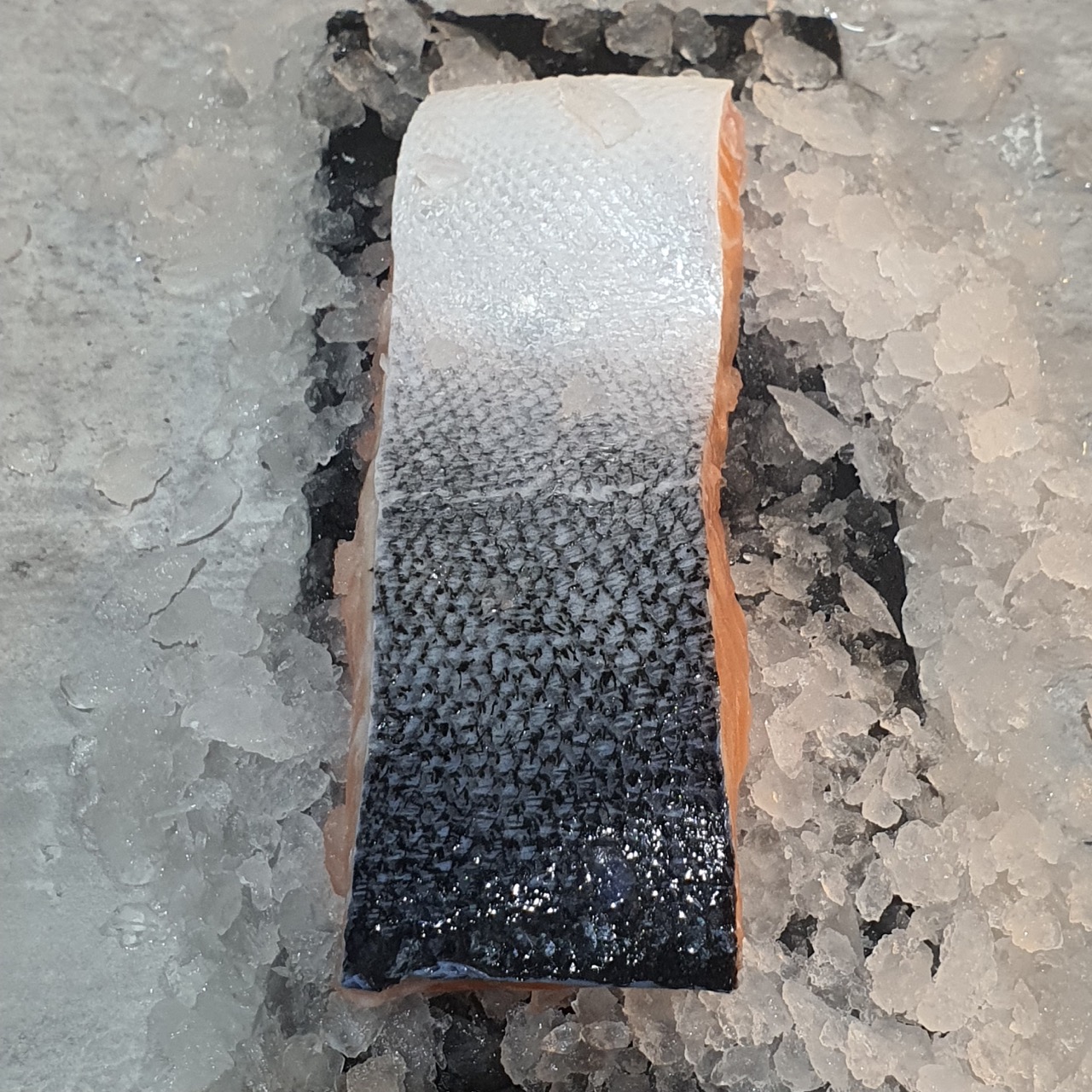 The Skin of Fresh Premium Salmon Fillet