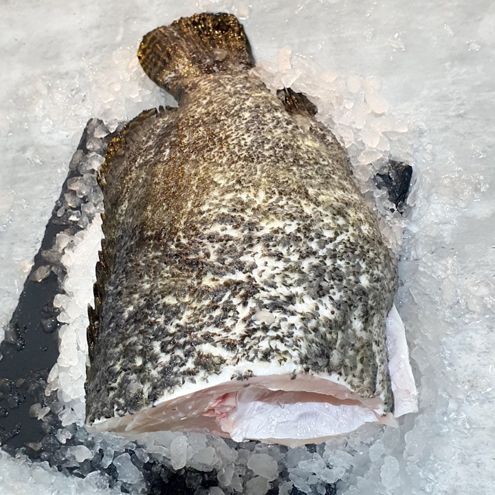Fresh Premium Grouper Meat VitaminSeafood