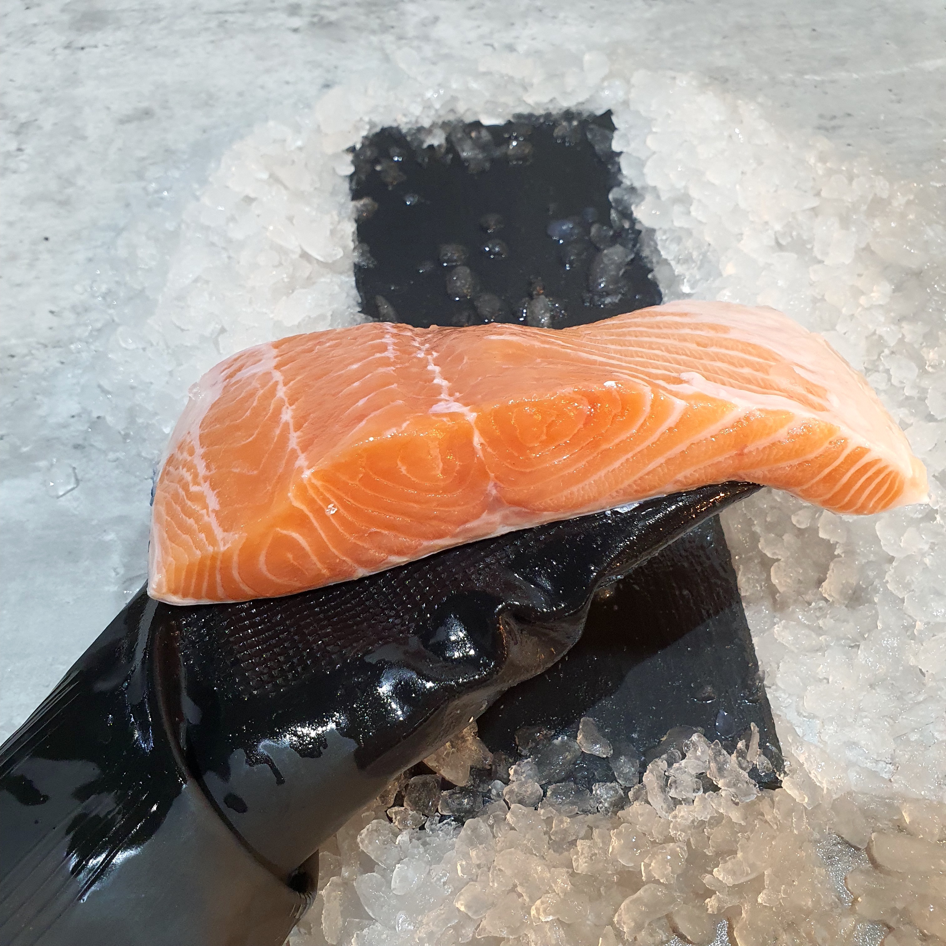 Fresh Sustainable Salmon Meat