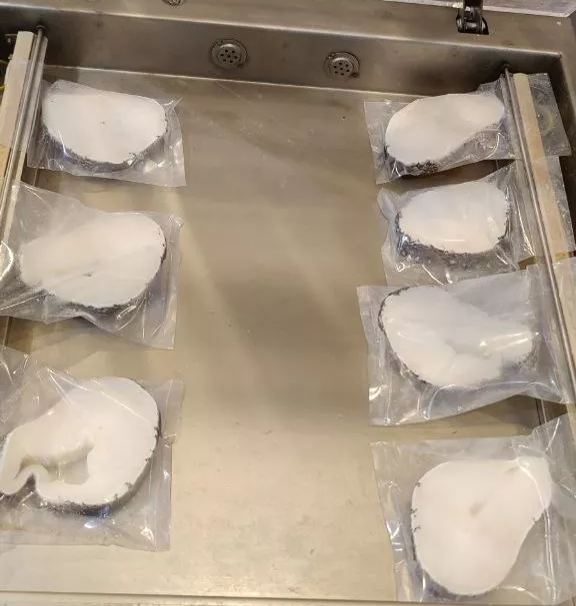 Wild Cod Fish Steak [Premium Grade]