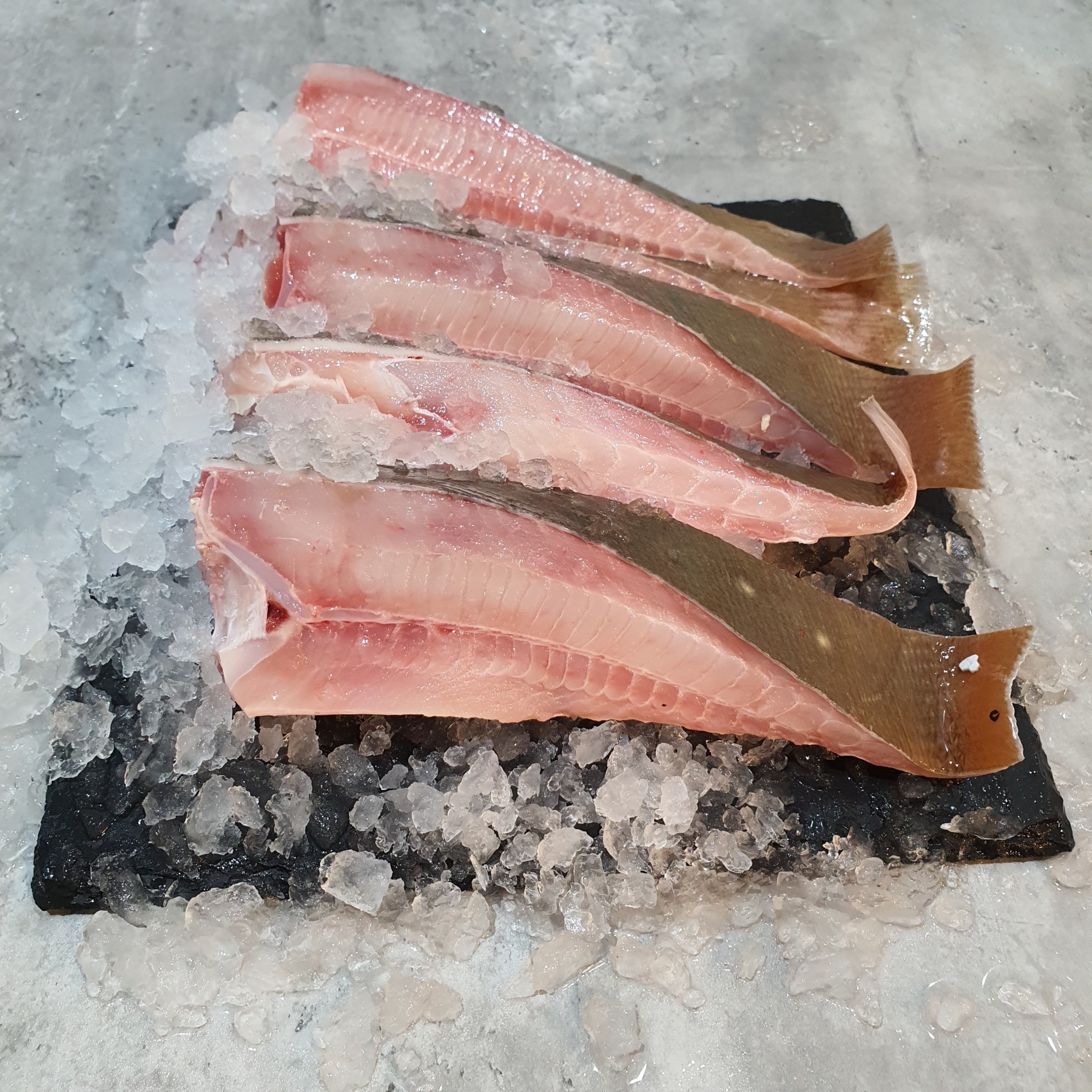 Buy Fresh Stingray Steak in Singapore - VitaminSeafood