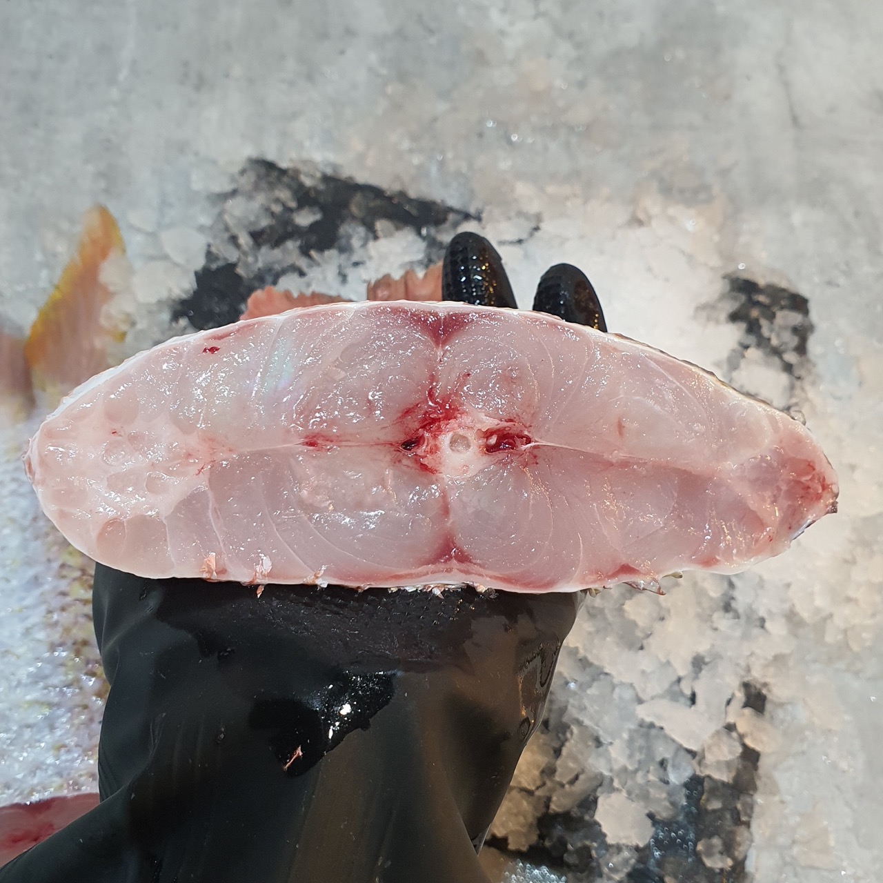 Premium Grade Crimson Snapper Tail Meat 春鸡 (Steak/Fillet)