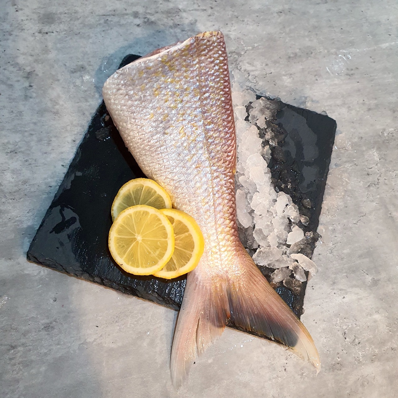 Wild Goldband Snapper Fish Meat for Fish Fillet