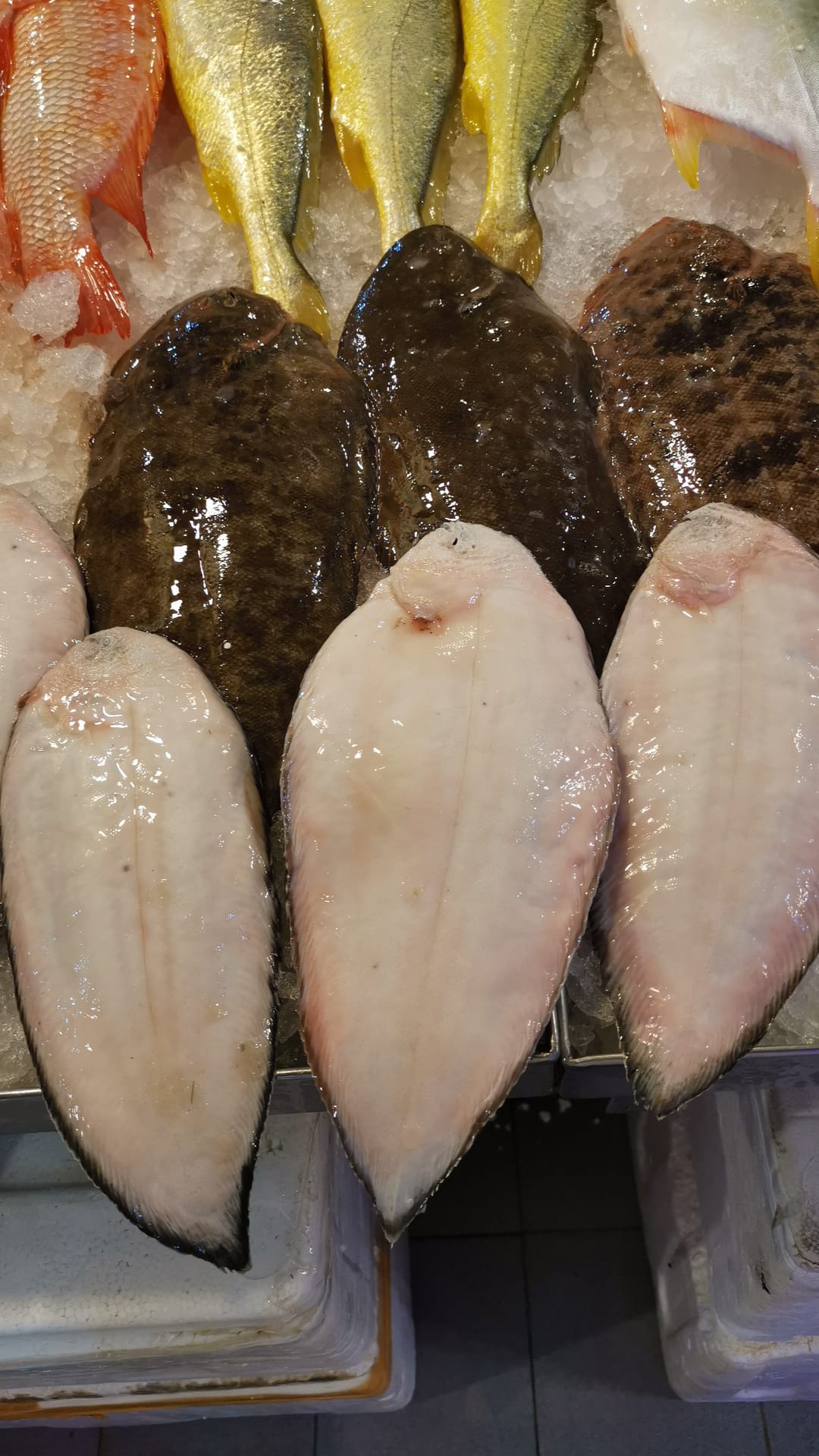 Fresh Whole Fish Delivery in Singapore VitaminSeafood VitaminSeafood