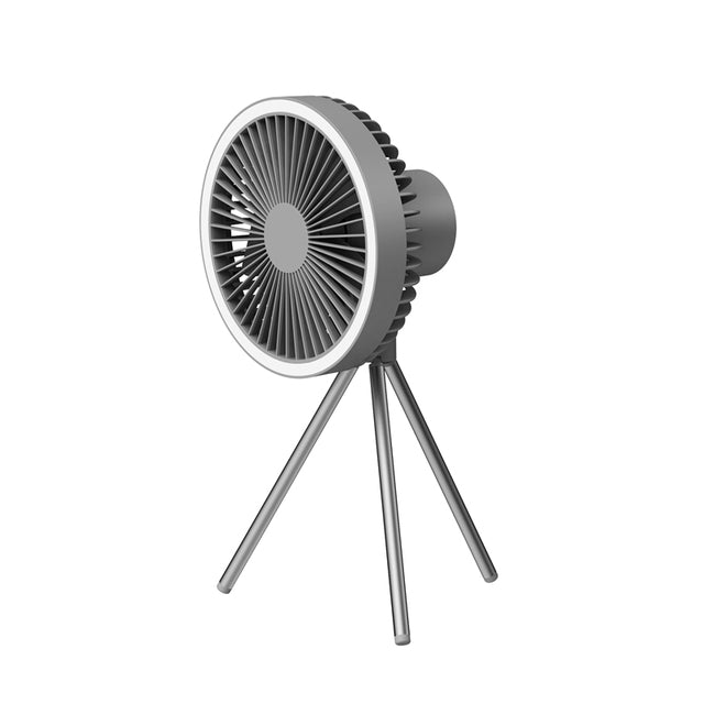 Multifunctional Fan