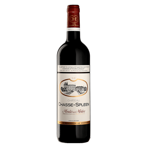 Chateau Chasse Spleen, Moulis en Medoc 2020 - OWC of 12 Bottles x 75cl-MagnumOpusWines