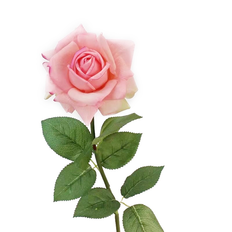 Sladko · Rose Austin. Pink / Artificial Flowers-kkonline