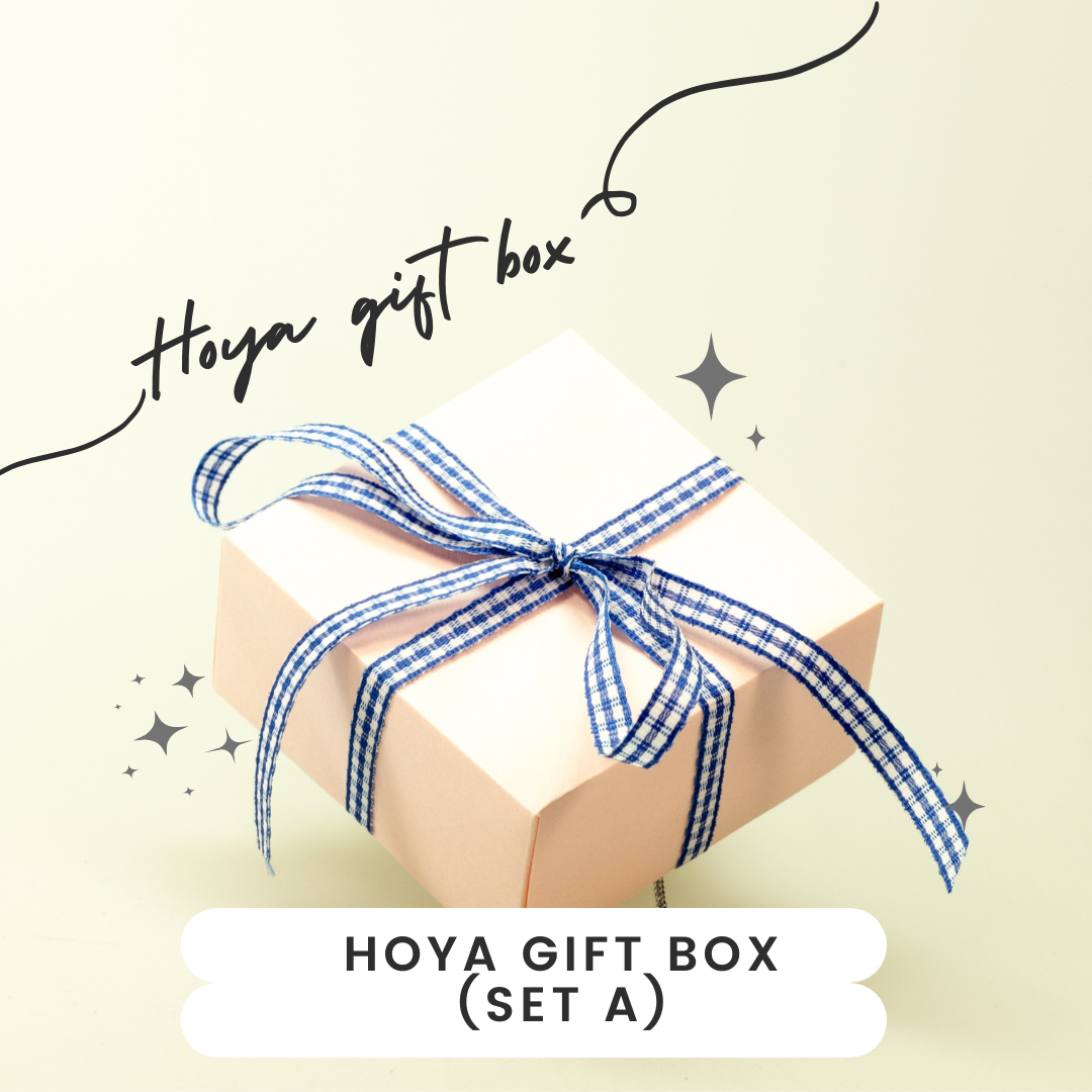 Suprise Hoya Gift Box 