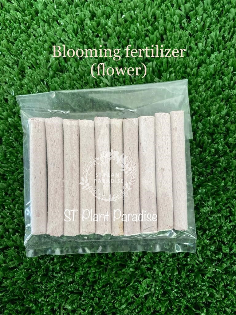 Imported Slow Release Fertilizer Spike (Growing & Flowering) - Orchid & Hoya