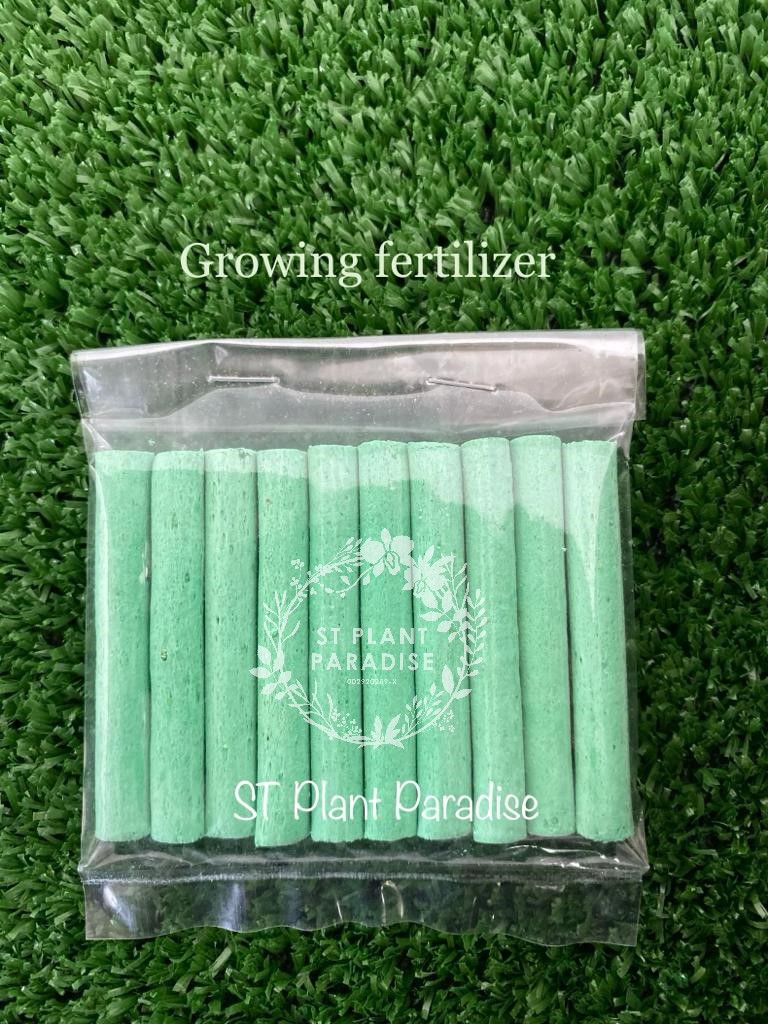 Imported Slow Release Fertilizer Spike (Growing & Flowering) - Orchid & Hoya