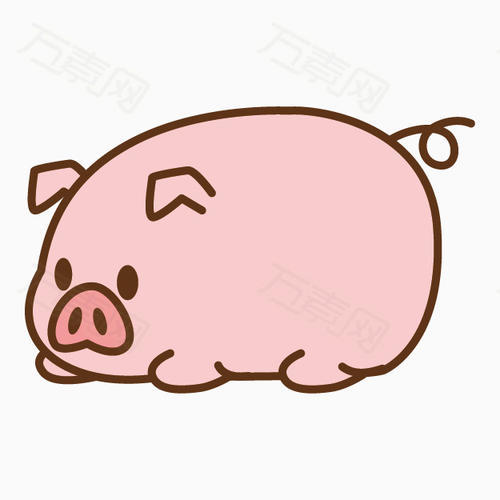 就一个规格图片特别多