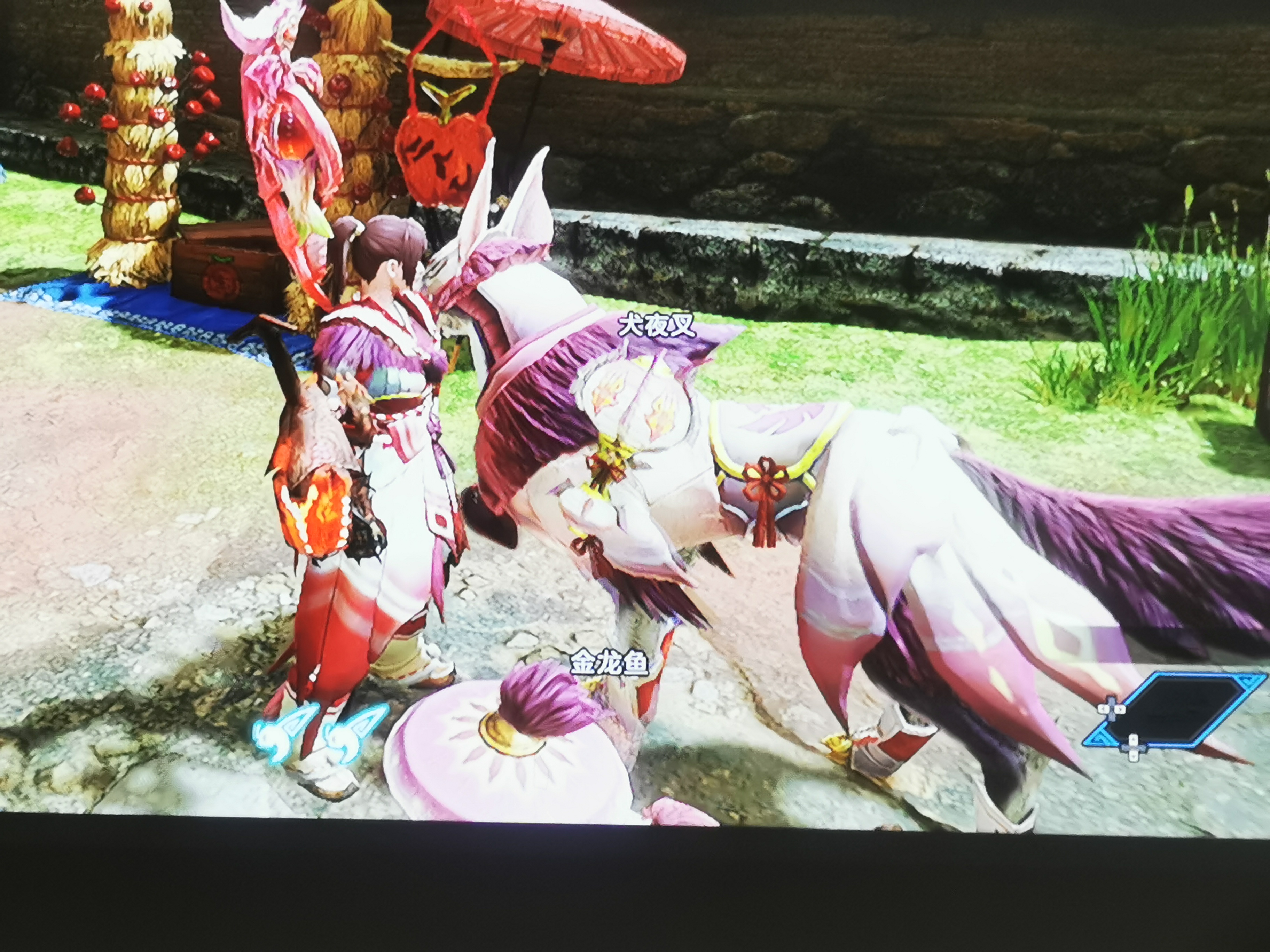 就一个规格图片特别多