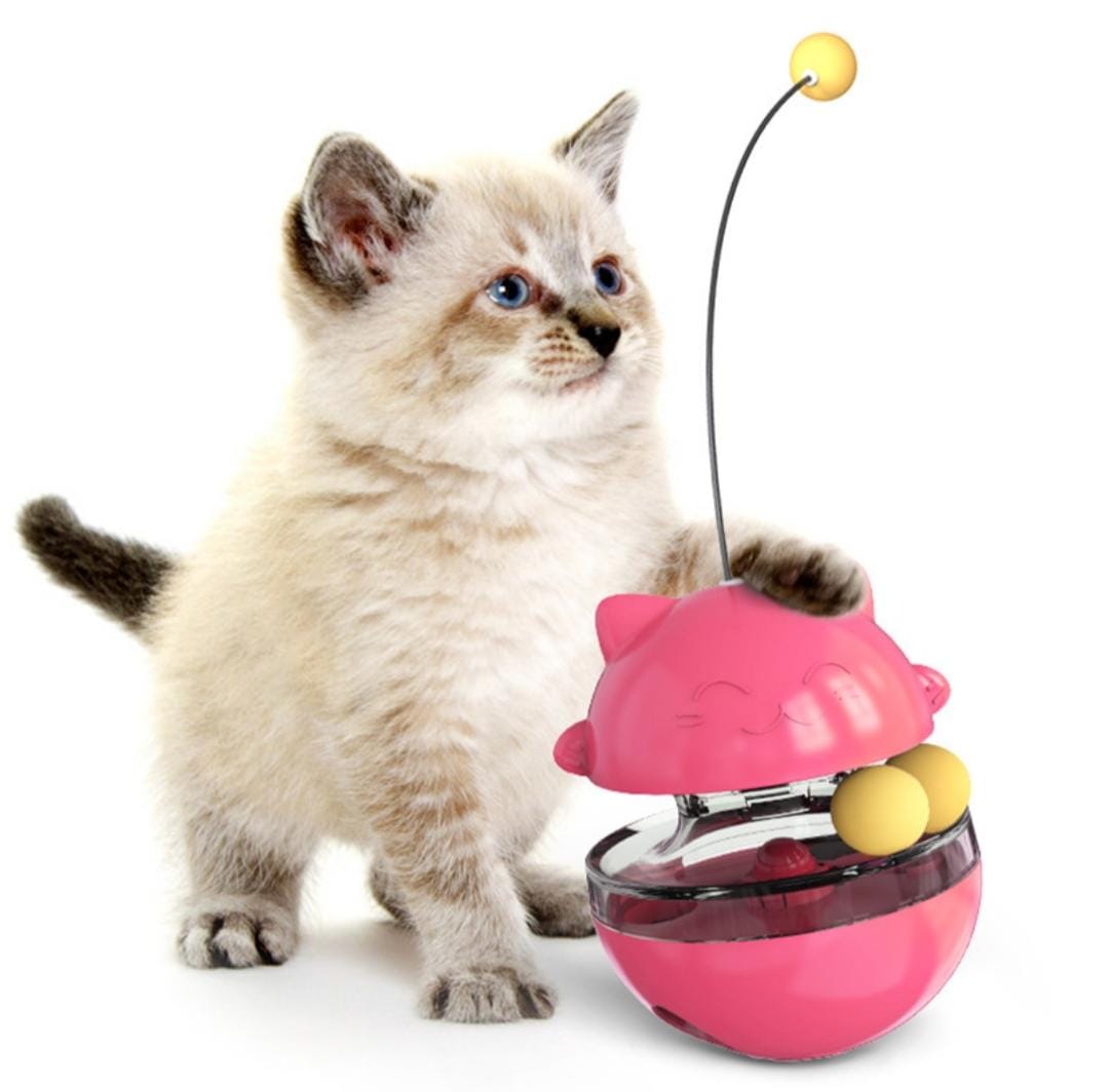 cat toys that dispense treats