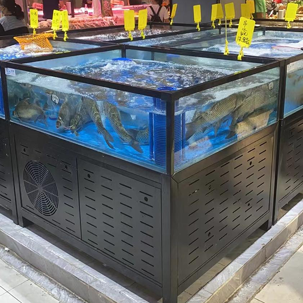 Live Seafood Display Tank