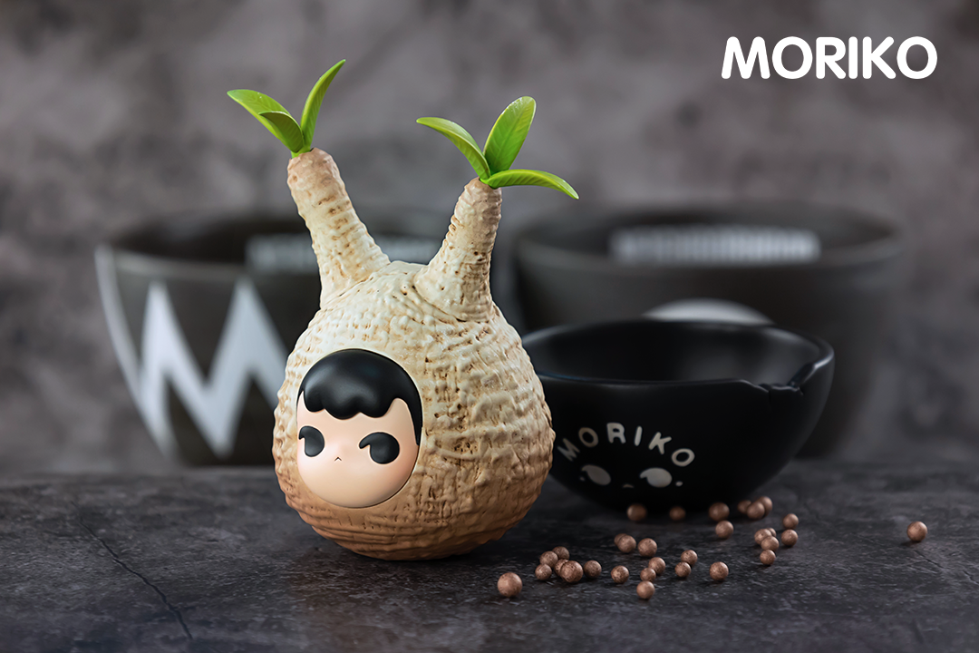 Moriko- Caudex-White