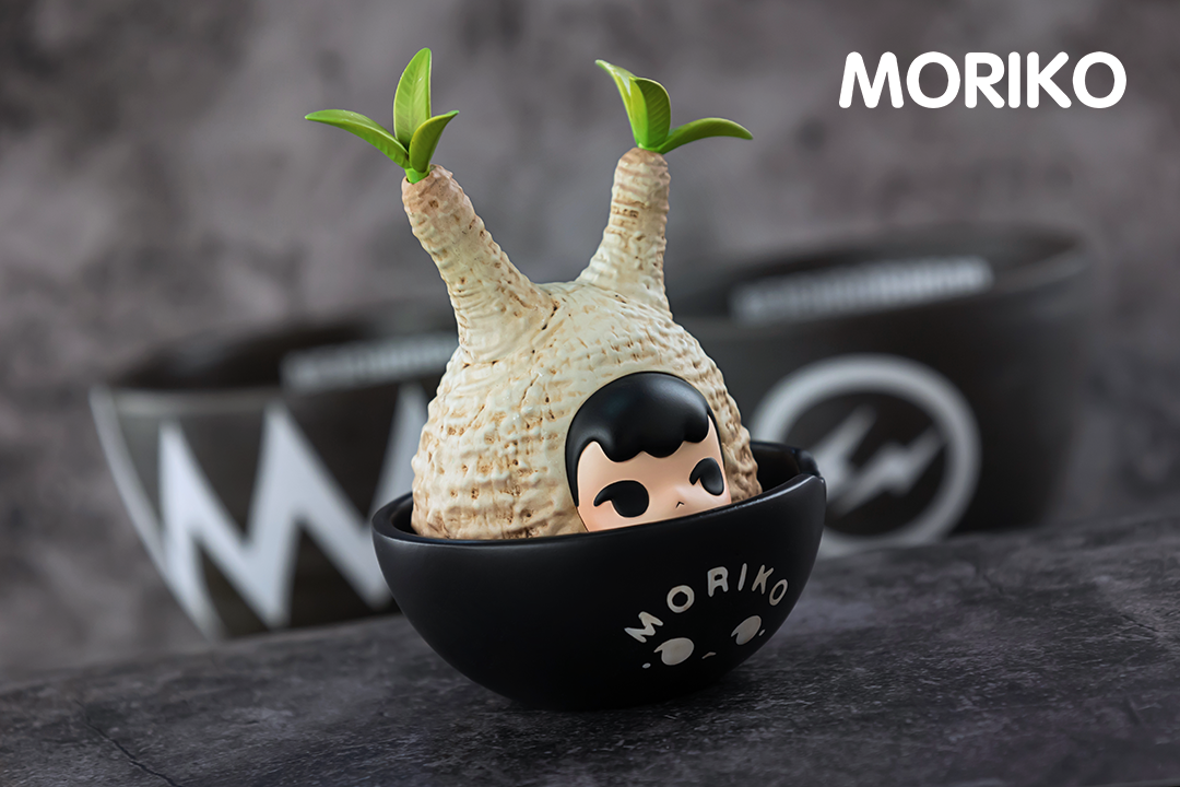 Moriko- Caudex-White