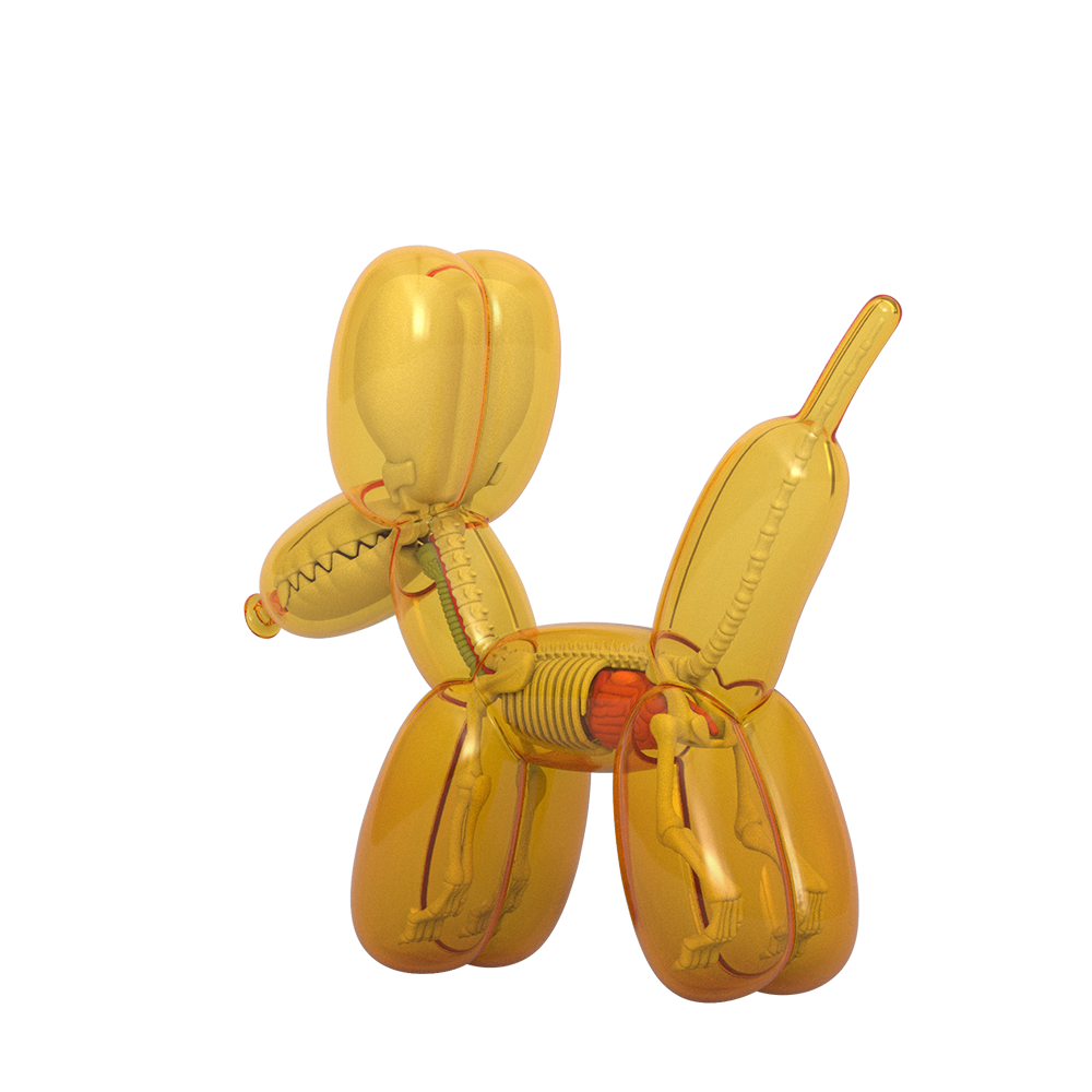 Funny Anatomy Balloon Dog (Honey Edition)